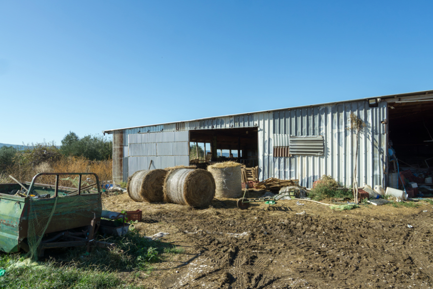 Ινδοί αγρότες έγιναν κτηνοτρόφοι σε μονάδα της Χαλκιδικής - «Μας χαμογέλασε η τύχη»