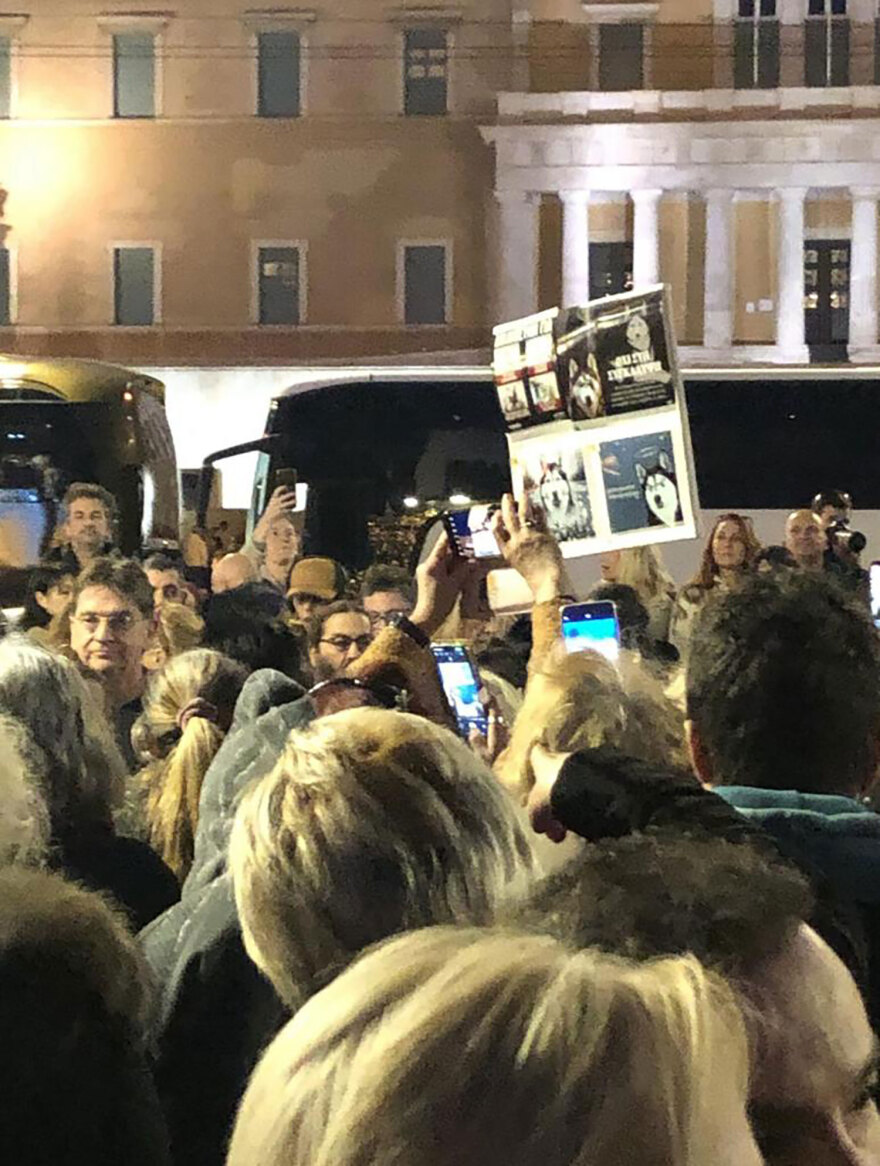 Πορεία διαμαρτυρίας στο Σύνταγμα - «Να συλληφθούν οι δράστες που κακοποίησαν το χάσκι»