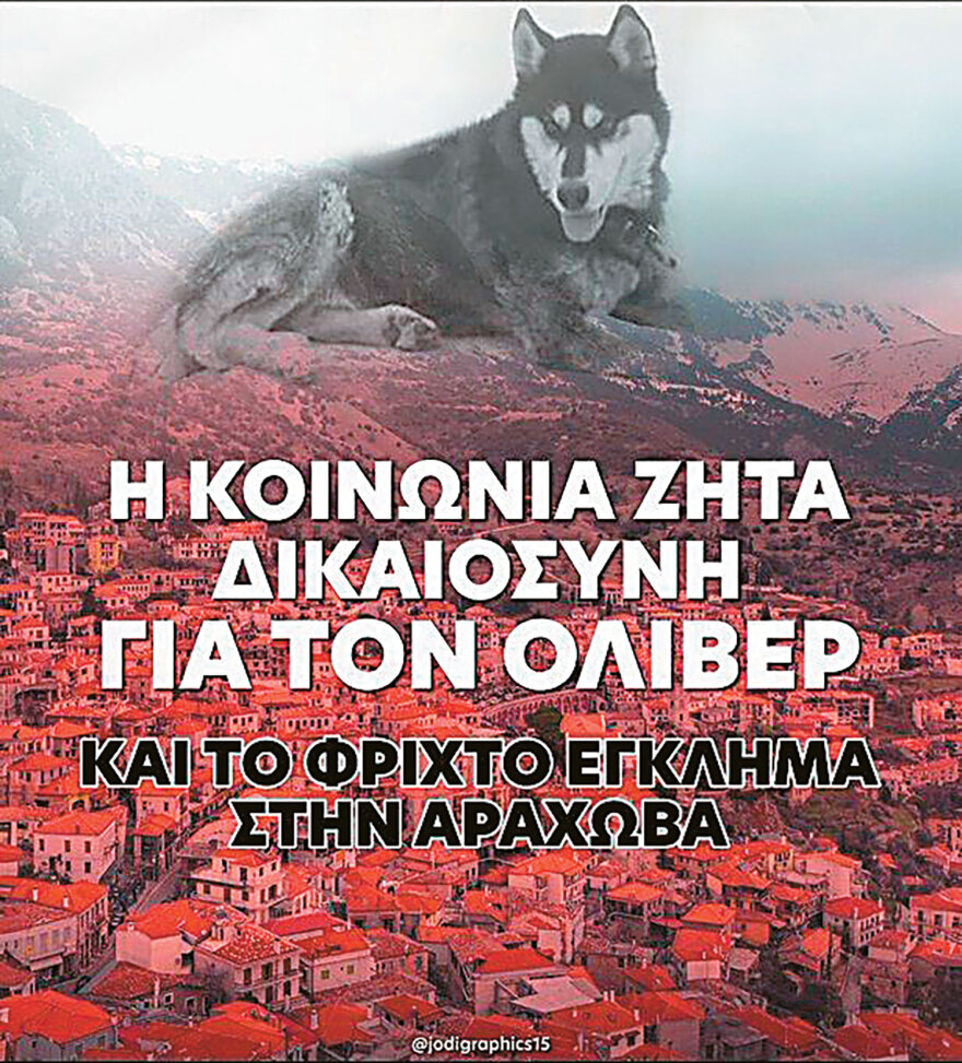 Αράχωβα: Ο Ολιβερ σύμβολο για το φιλοζωικό κίνημα - Το μυστήριο και τα σενάρια για τον άγριο θάνατό του