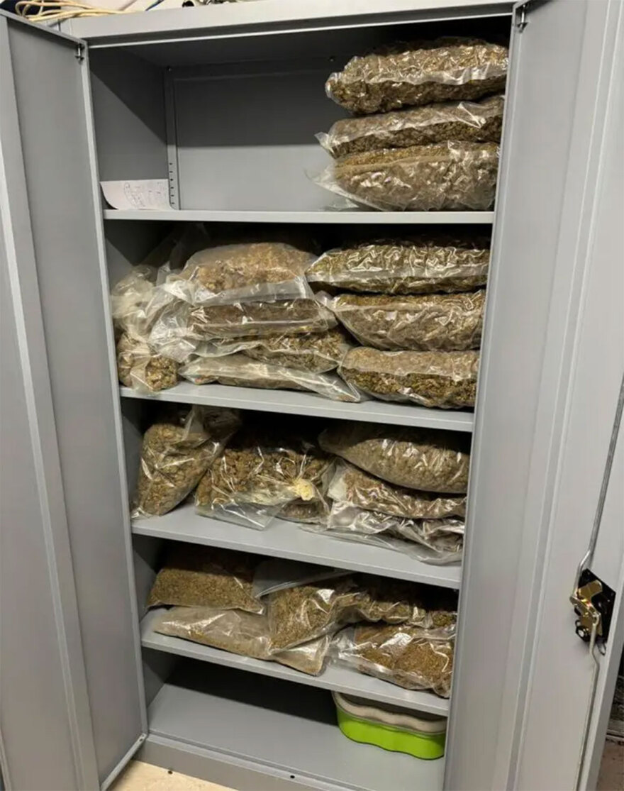 Σπείρα πωλούσε κάνναβη, skunk και ecstasy: Είχαν βγάλει €800.000 - Κατασχέθηκαν 108 κιλά ναρκωτικών