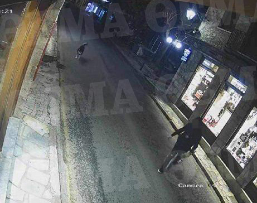 Αράχωβα: Φωτογραφίες με άνδρα σε μικρή απόσταση από τον Όλιβερ το βράδυ της επίθεσης έδωσε ο ιδιοκτήτης του χάσκι