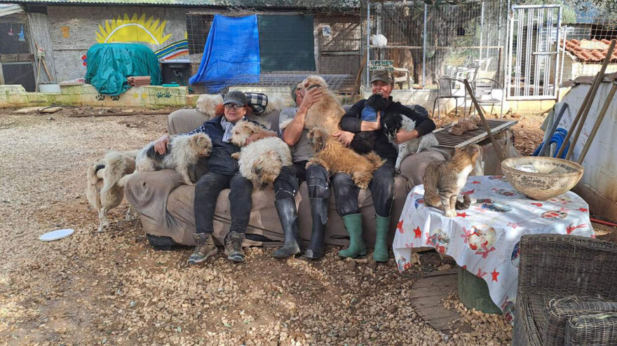 Καταφύγιο αδέσποτων Κεφαλονιάς: Δύο εθελόντριες «φύλακες άγγελοι» για 300 αδέσποτα ζώα