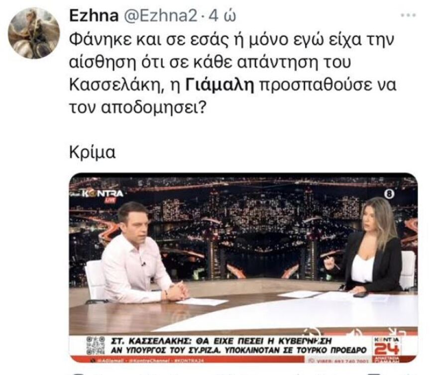 Βullying στη Γιάμαλη από τα τρολς για τη συνέντευξη Κασσελάκη: Η αντίδραση Λουπάκη και το μήνυμα Καρτερού
