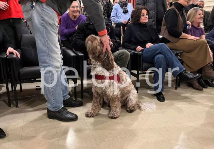 Κασσελάκης: Αιφνιδιαστική επίσκεψη στην Πάτρα μετά την ομιλία του στη Βουλή - Δείτε φωτογραφίες