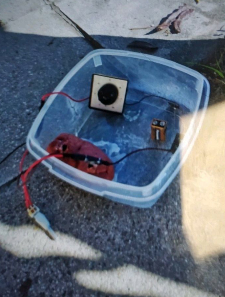 Η «Ένοπλη Προλεταριακή Δικαιοσύνη» ανέλαβε την ευθύνη για τη βόμβα στα ΜΑΤ - «Αυτή την φορά ήσασταν τυχεροί»