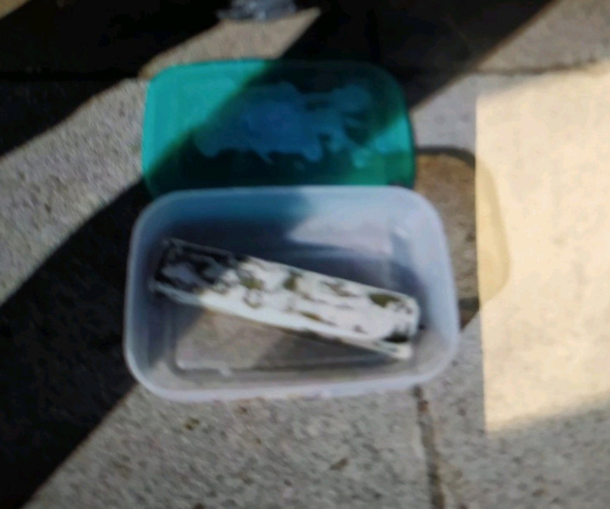 Η «Ένοπλη Προλεταριακή Δικαιοσύνη» ανέλαβε την ευθύνη για τη βόμβα στα ΜΑΤ - «Αυτή την φορά ήσασταν τυχεροί»