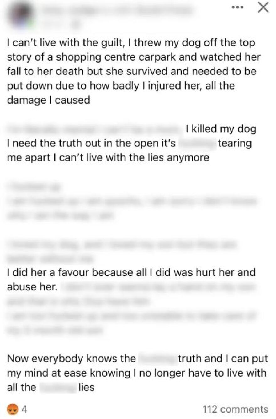 Αυστραλία: 26χρονη πέταξε σκυλί από ταράτσα και έγραψε «της έκανα χάρη» - Δείτε βίντεο