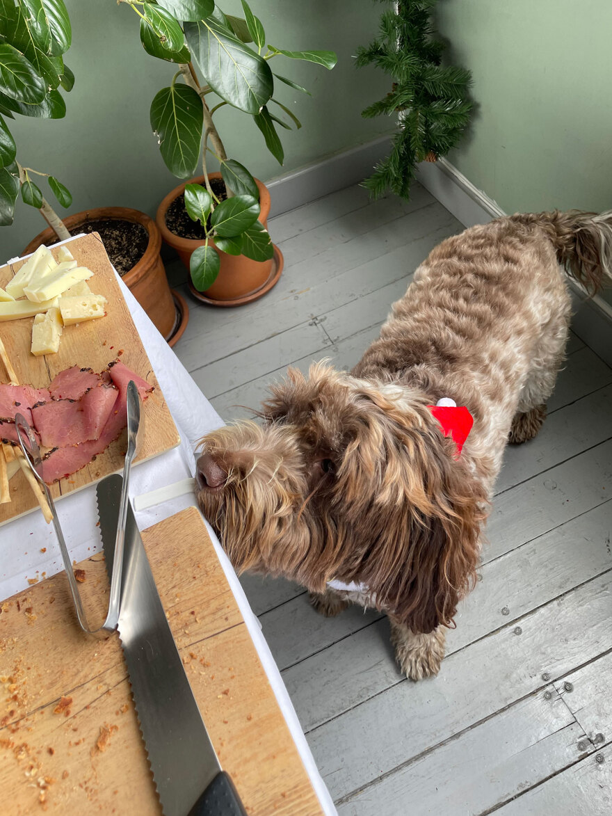 Γεύμα Κασσελάκη με πολιτικούς συντάκτες πριν φύγει για το Τέξας - Πήγε με τη Φάρλι αλλά χωρίς τον Τάιλερ, δείτε φωτογραφίες 