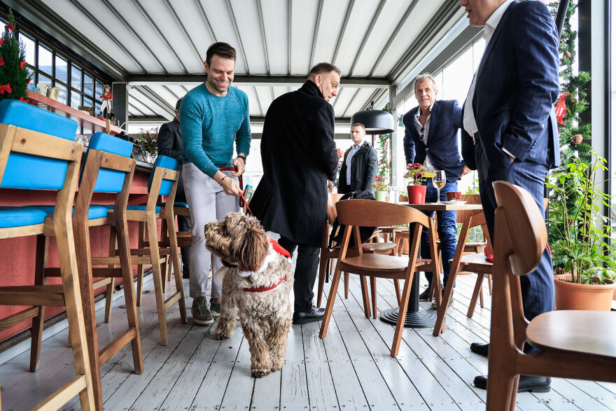 Γεύμα Κασσελάκη με πολιτικούς συντάκτες πριν φύγει για το Τέξας - Πήγε με τη Φάρλι αλλά χωρίς τον Τάιλερ, δείτε φωτογραφίες 