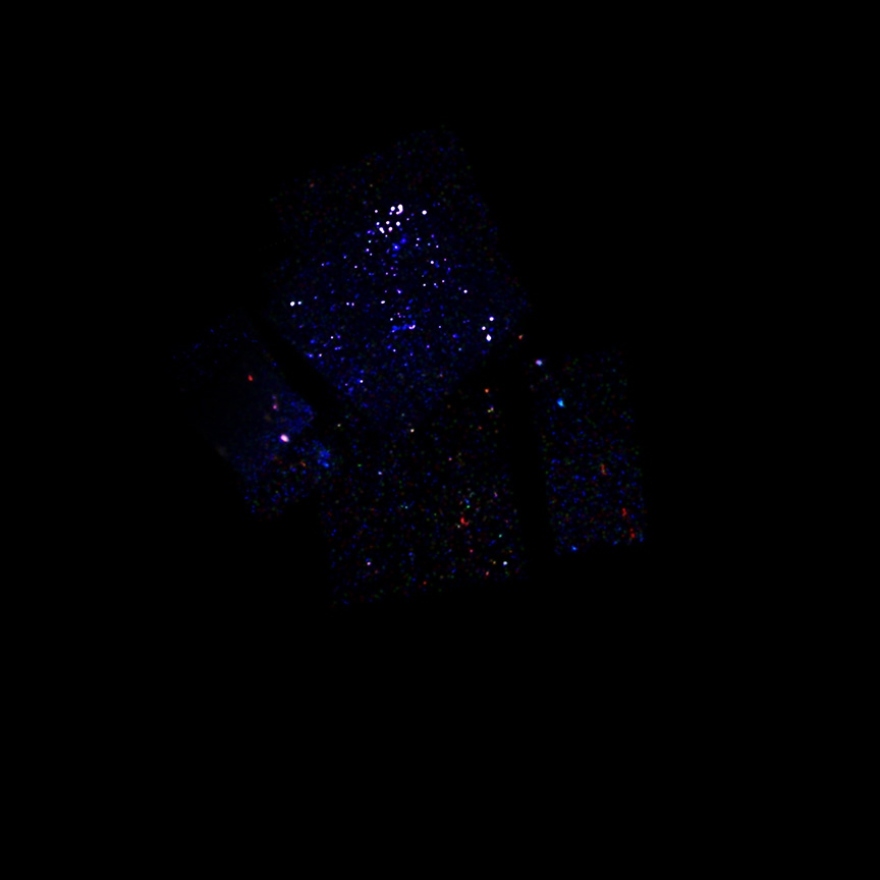 NASA: Έφτιαξε το χριστουγεννιάτικο αστρικό δέντρο του Γαλαξία – Δείτε εικόνες