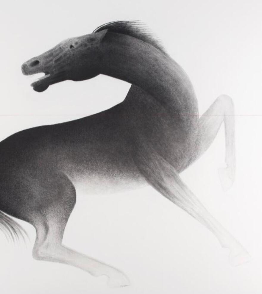 Πολεμικό Μουσείο: Φιλοξενεί την έκθεση «Ο Δρόμος του Αλόγου» 