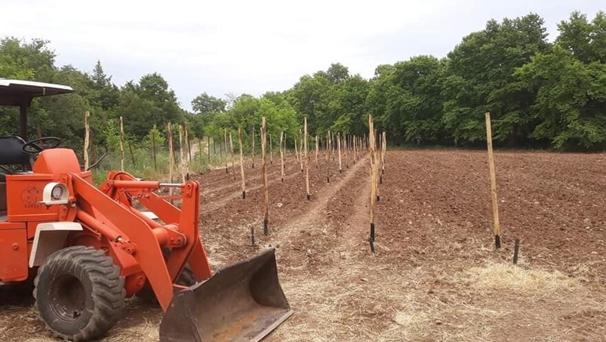 Η φάρμα του Βασίλη Καρρά: Ο παράδεισός του στο Κοκκινοχώρι και η τελευταία του κατοικία