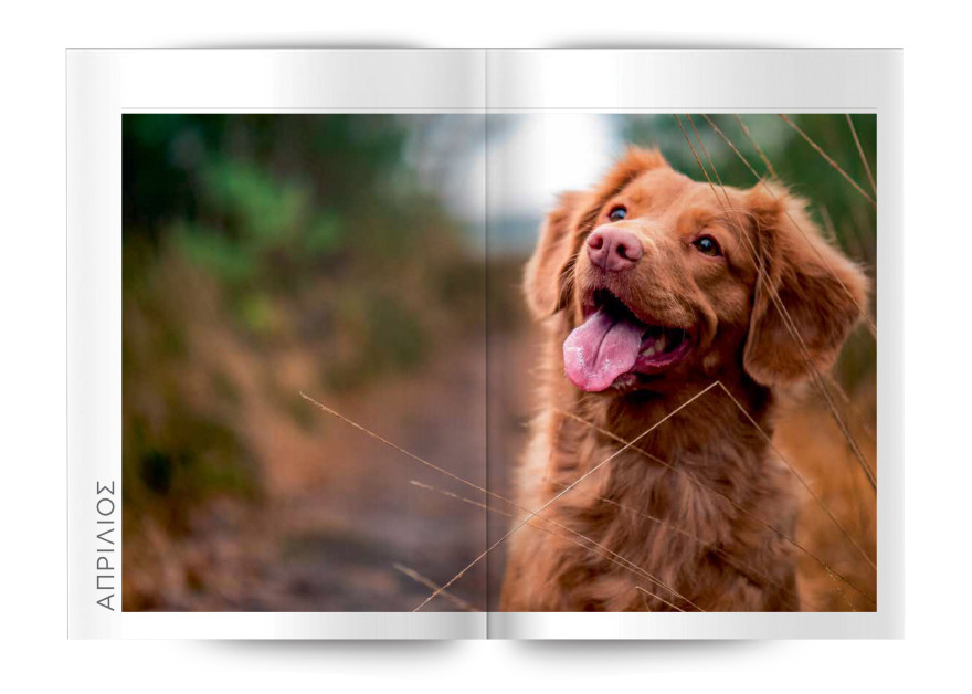 Μη χάσετε το Θέμα - Και σήμερα στα περίπτερα 