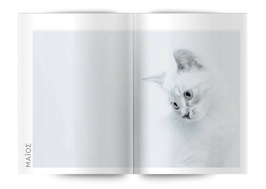 Μη χάσετε το Θέμα - Και σήμερα στα περίπτερα 