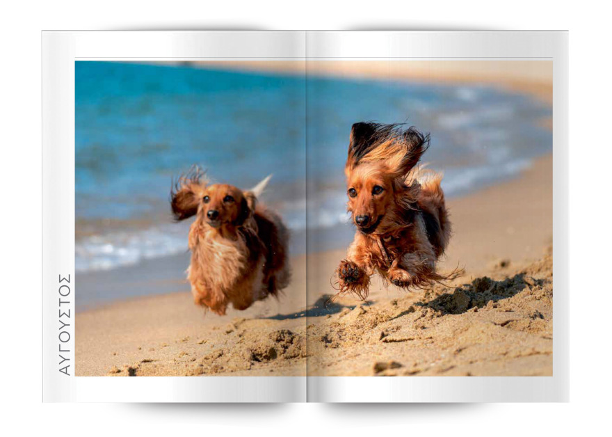 Μη χάσετε το Θέμα - Και σήμερα στα περίπτερα 