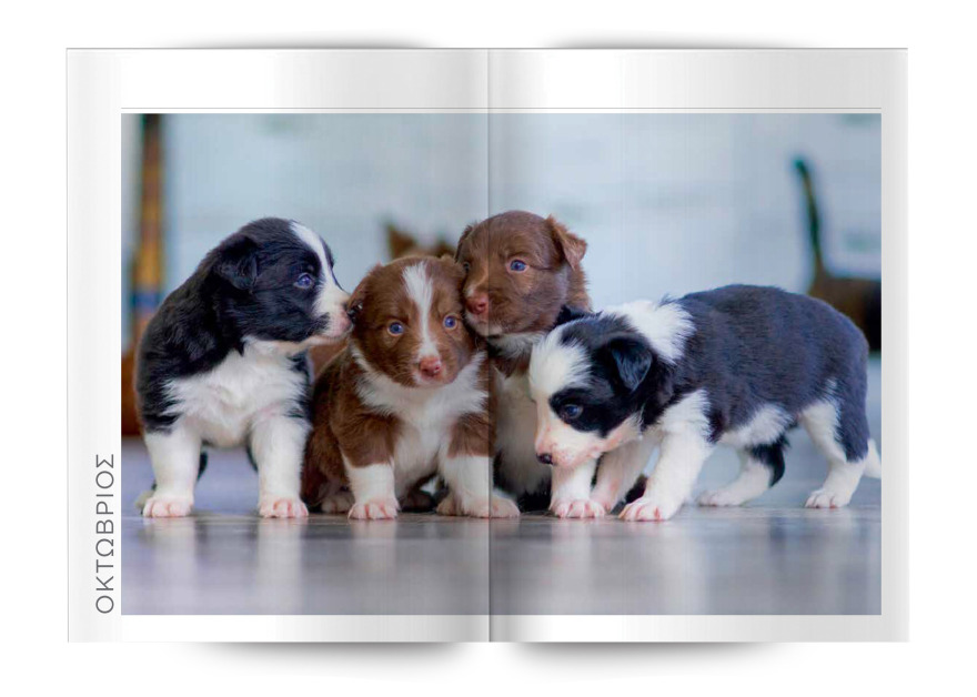 Μη χάσετε το Θέμα - Και σήμερα στα περίπτερα 