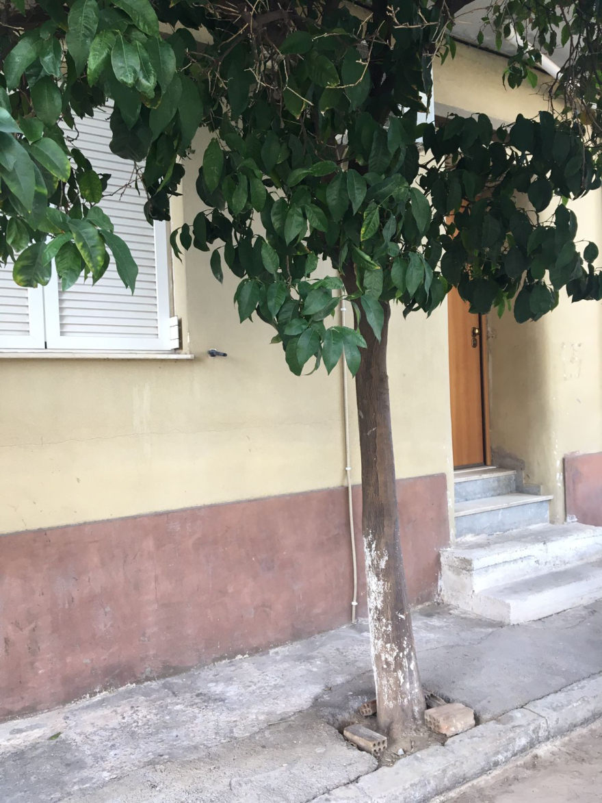 Έγκλημα στο Περιστέρι: Τι είπε στον ανακριτή ο 35χρονος πατροκτόνος - «Ήθελα να σώσω τη μητέρα μου»