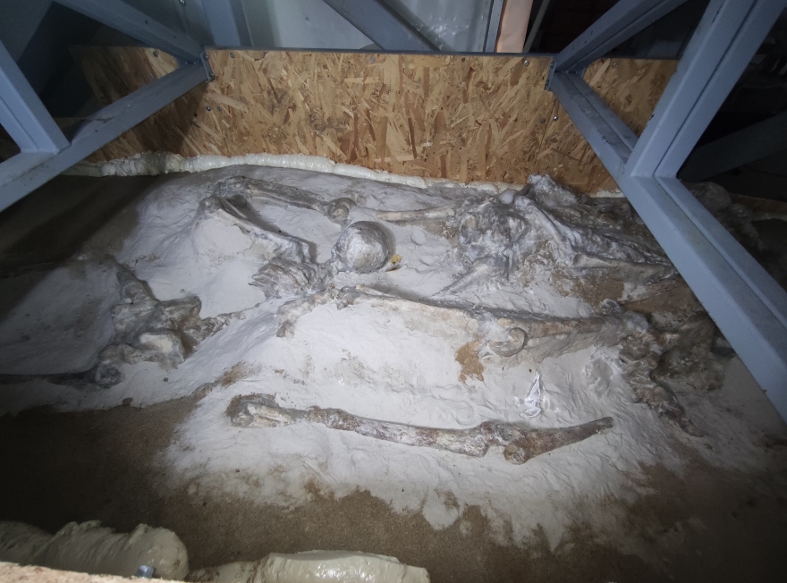 Δεσμώτες του Φαλήρου: Αναμένουν την τοποθέτησή τους στο μόνιμο σπίτι τους - Δείτε φωτογραφίες