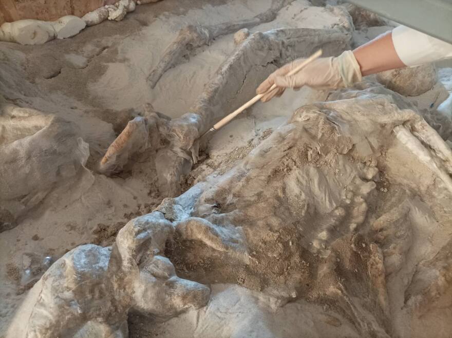 Δεσμώτες του Φαλήρου: Αναμένουν την τοποθέτησή τους στο μόνιμο σπίτι τους - Δείτε φωτογραφίες