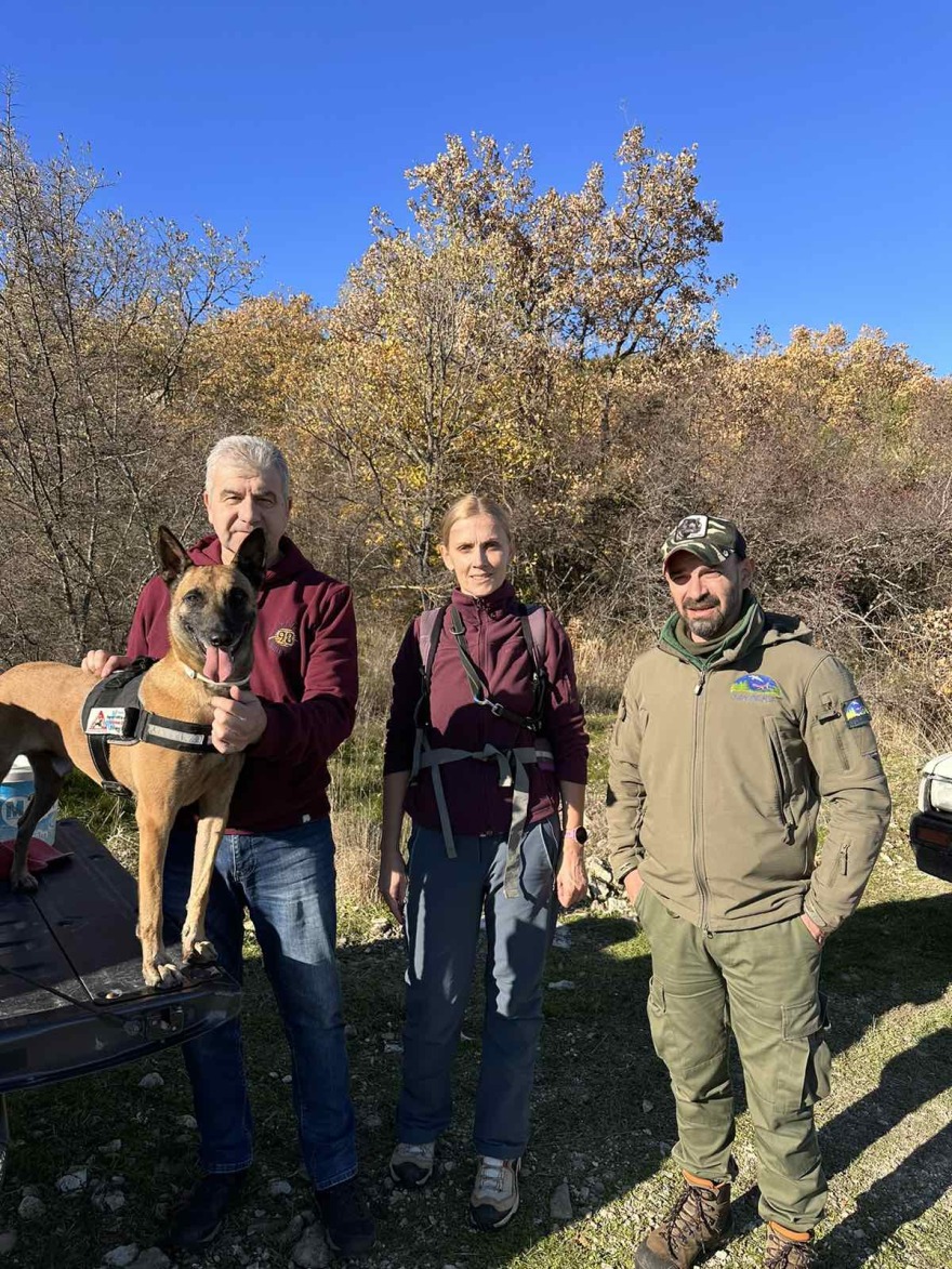Έβρος: Δηλητηρίασαν σπάνιους χρυσαετούς και άλλα ζώα