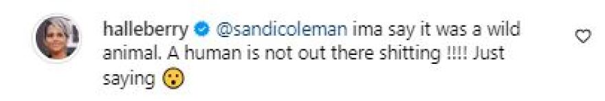 Χάλι Μπέρι: Οι θαυμαστές της εντόπισαν... περιττώματα σε φωτογραφία της 