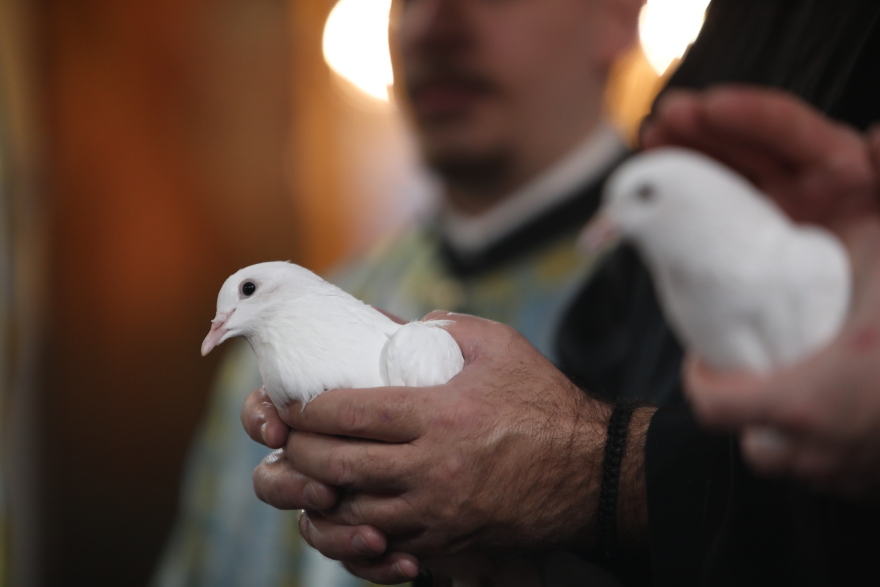 Με λαμπρότητα τα Θεοφάνια στον Πειραιά: Άνδρες των ΟΥΚ βούτηξαν για τον σταυρό - Δείτε βίντεο