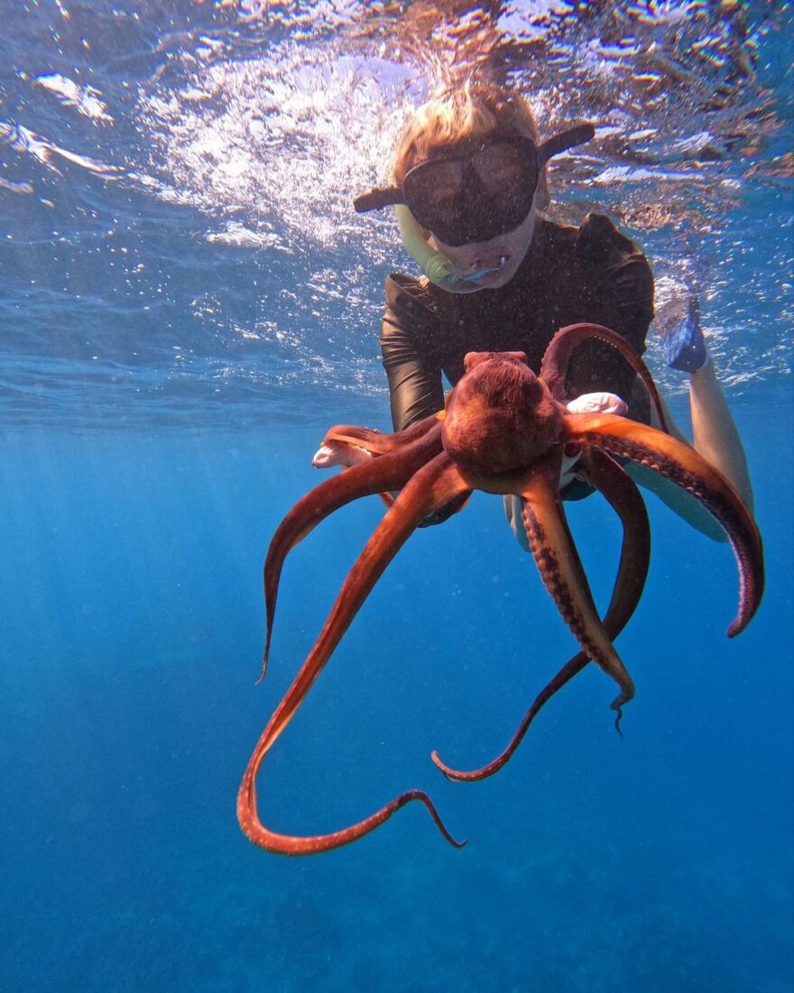 Σάρα Μισέλ Γκέλαρ: Φωτογραφήθηκε στον βυθό της θάλασσας με ένα χταπόδι