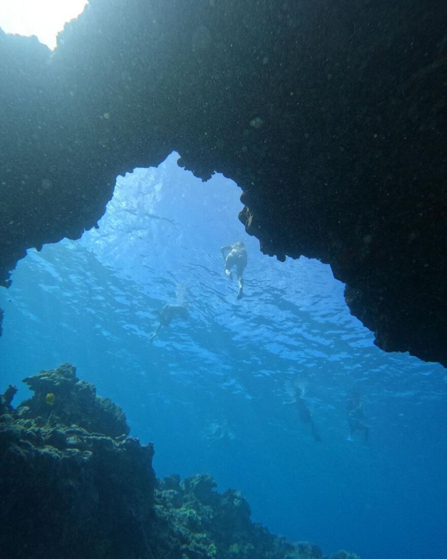 Σάρα Μισέλ Γκέλαρ: Φωτογραφήθηκε στον βυθό της θάλασσας με ένα χταπόδι
