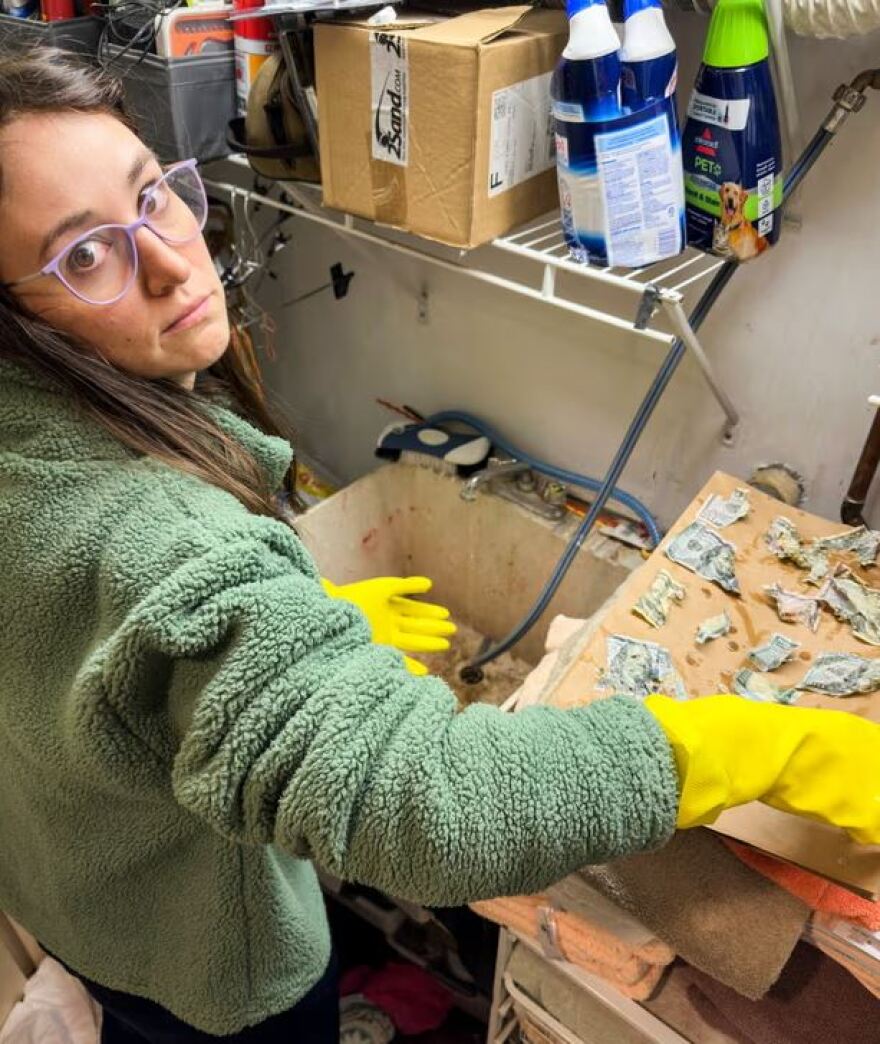 ΗΠΑ: Σκύλος έφαγε 4.000 δολάρια σε χαρτονομίσματα - Πώς κατάφεραν οι ιδιοκτήτες του να πάρουν πίσω μέρος των χρημάτων