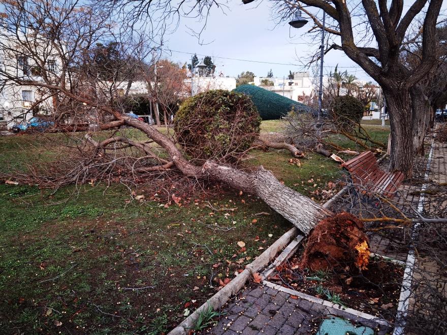 Καιρός: Νέο έκτακτο δελτίο από την ΕΜΥ: Στο κόκκινο 7 περιοχές - Οι θυελλώδεις άνεμοι σάρωσαν Αττική, Θεσσαλονίκη, Ηλεία