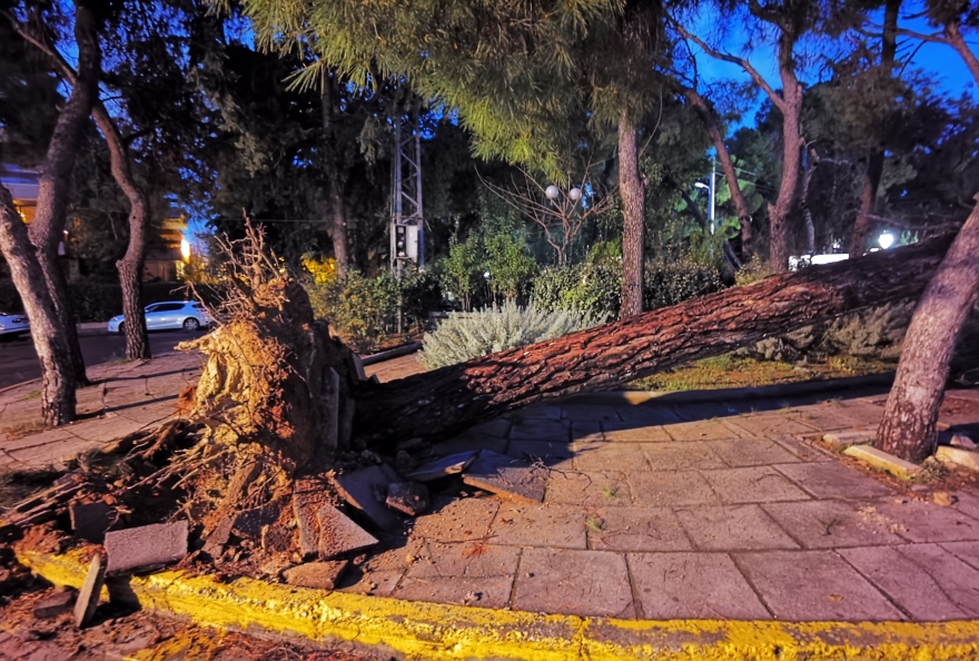 Καιρός: Κομμένα δέντρα, σπασμένες κολώνες, ζημιές σε αυτοκίνητα από το μπουρίνι στην Αττική 