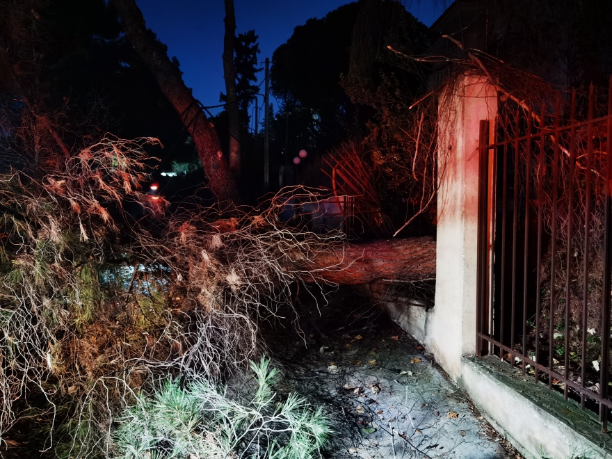 Καιρός: Κομμένα δέντρα, σπασμένες κολώνες, ζημιές σε αυτοκίνητα από το μπουρίνι στην Αττική 