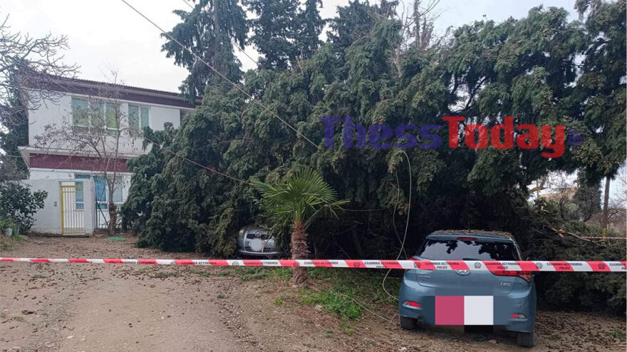 Πτώσεις δέντρων σε σχολείο στη Θεσσαλονίκη - Ξηλώθηκε καγκελόπορτα, καταπλακώθηκαν τρία ΙΧ