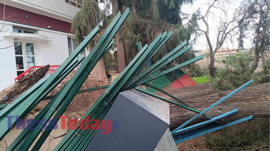 Πτώσεις δέντρων σε σχολείο στη Θεσσαλονίκη - Ξηλώθηκε καγκελόπορτα, καταπλακώθηκαν τρία ΙΧ