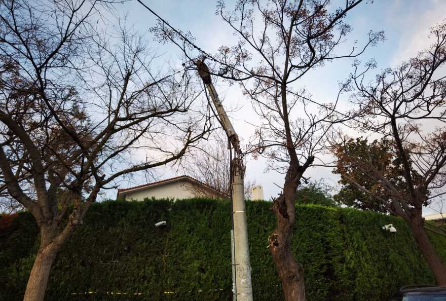 Καιρός: Νέο έκτακτο δελτίο από την ΕΜΥ: Στο κόκκινο 7 περιοχές - Οι θυελλώδεις άνεμοι σάρωσαν Αττική, Θεσσαλονίκη, Ηλεία