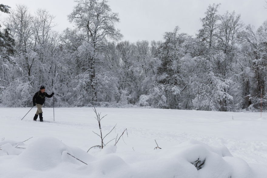 ΗΠΑ: Σφοδρή χειμερινή καταιγίδα πλήττει τη χώρα - Τουλάχιστον τρεις νεκροί