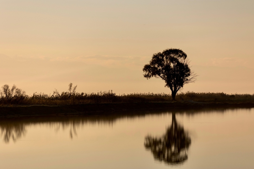 Έκθεση φωτογραφίας στο Booze για το Μεσολόγγι με θέμα «Εν τω μέσω των λιμνών»