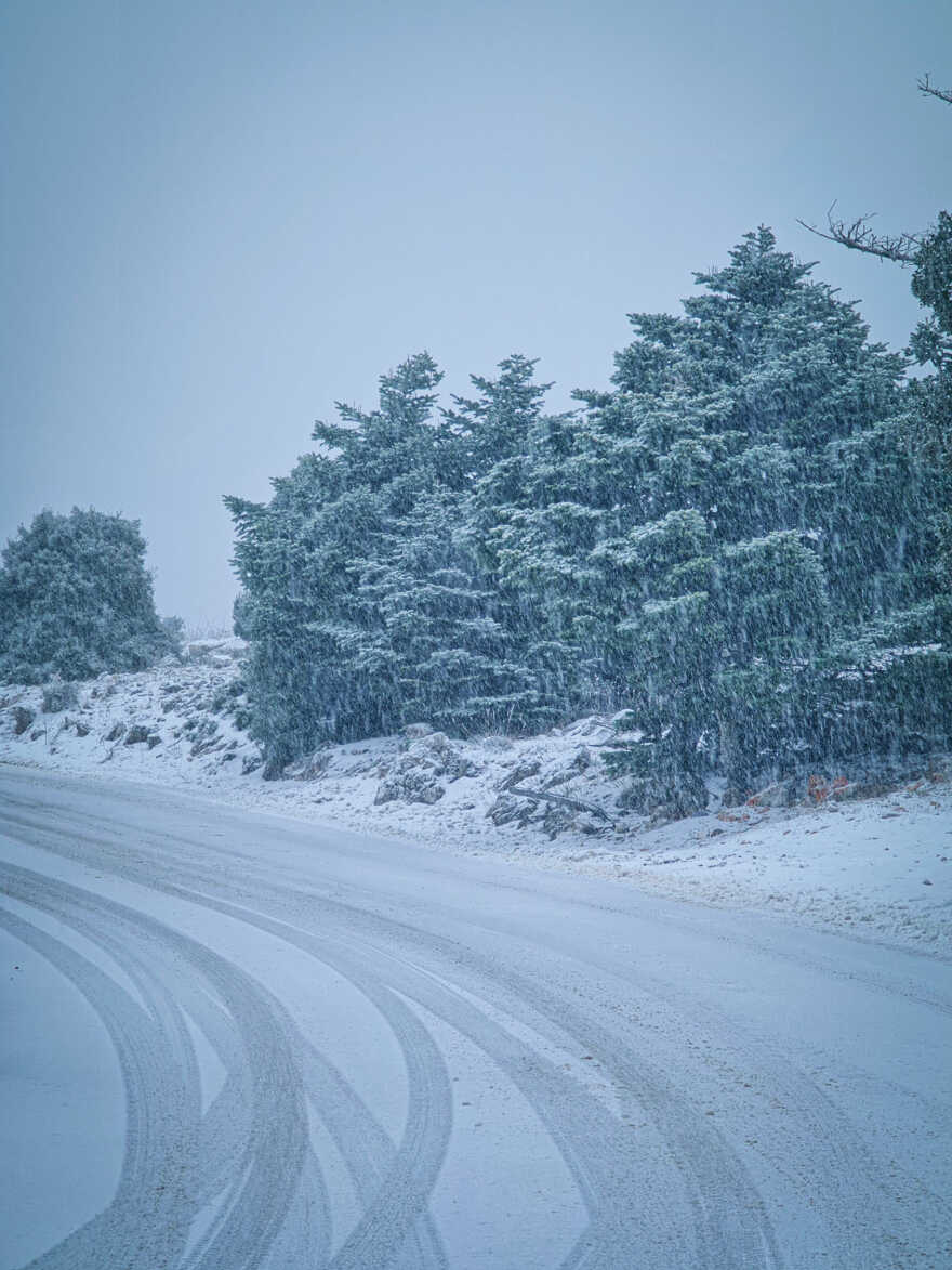 Καιρός: Ρίχνει χιόνι στην Πάρνηθα, κλειστός ο δρόμος μετά το τελεφερίκ - Δείτε εικόνες και βίντεο
