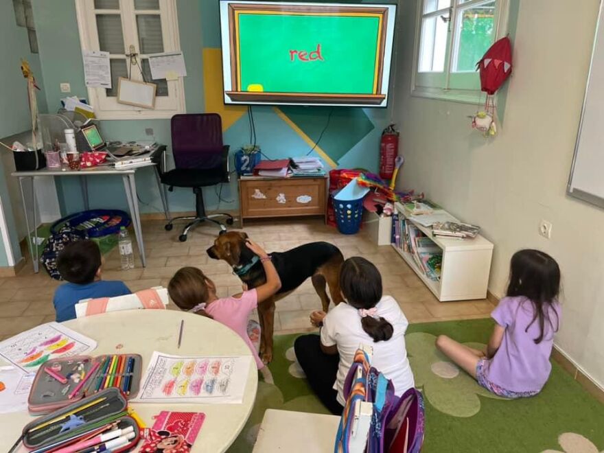 Λέρος: Δημιουργήθηκε το πρώτο pet friendly σχολείο