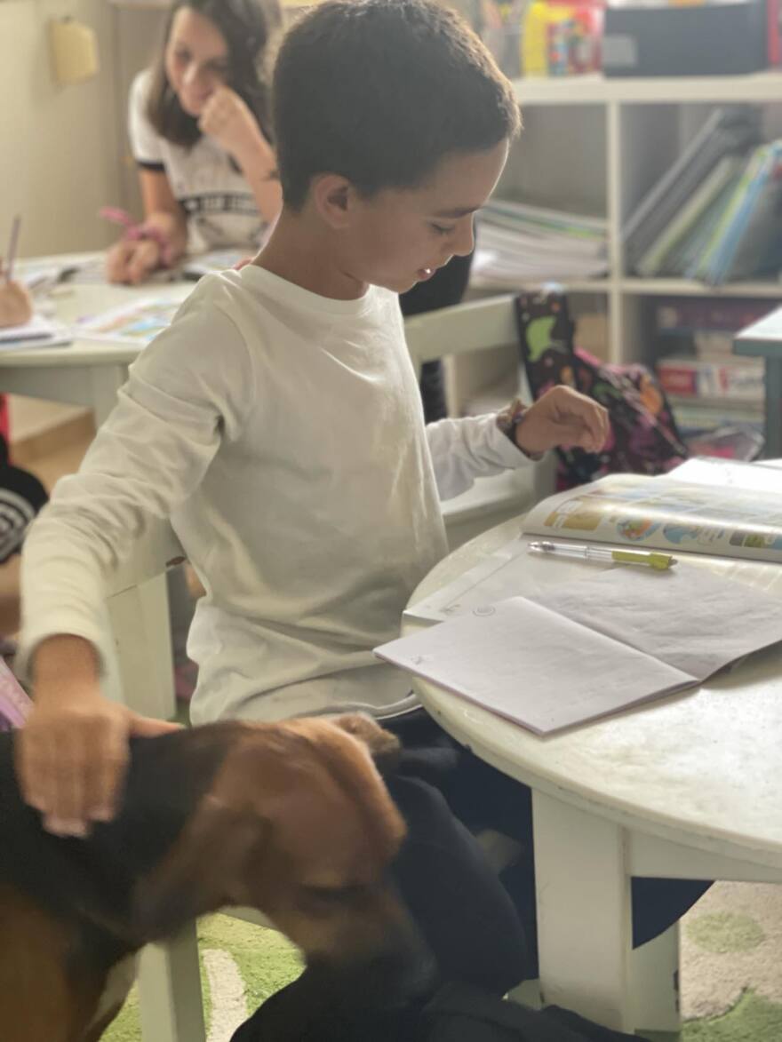 Λέρος: Δημιουργήθηκε το πρώτο pet friendly σχολείο