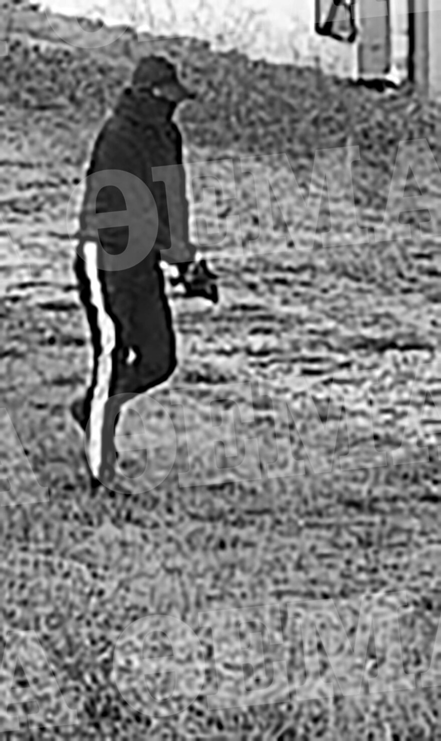 Greek Mafia: Φωτογραφίες ντοκουμέντο από τη δράση της οργάνωσης που εμπλέκεται στις δολοφονίες Σκαφτούρου και Ρουμπέτη