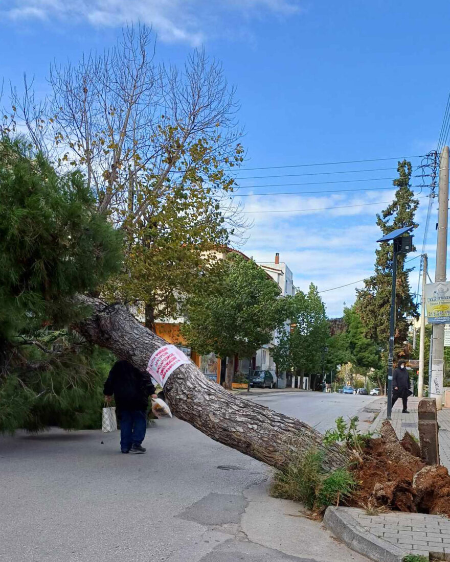 Καιρός: Άνεμοι έως και 9 μποφόρ στην Αττική, ξεριζώθηκαν δέντρα - Χιόνια στη βόρεια Ελλάδα