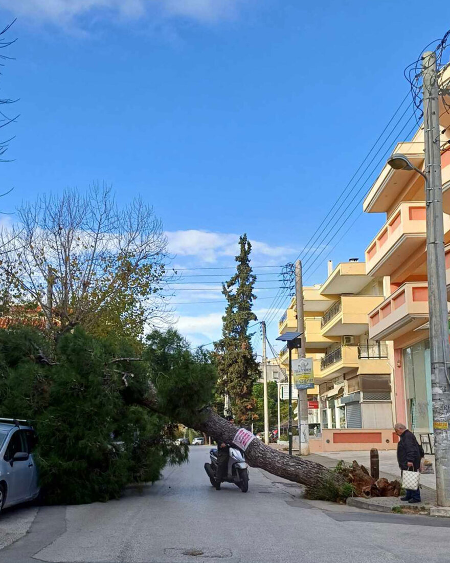 Καιρός: Άνεμοι έως και 9 μποφόρ στην Αττική, ξεριζώθηκαν δέντρα - Χιόνια στη βόρεια Ελλάδα