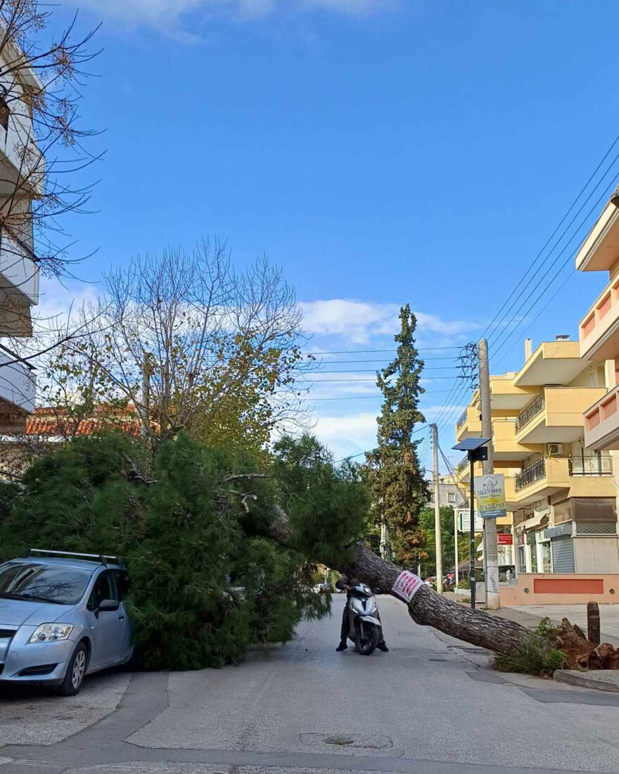 Καιρός: Άνεμοι έως και 9 μποφόρ στην Αττική, ξεριζώθηκαν δέντρα - Χιόνια στη βόρεια Ελλάδα