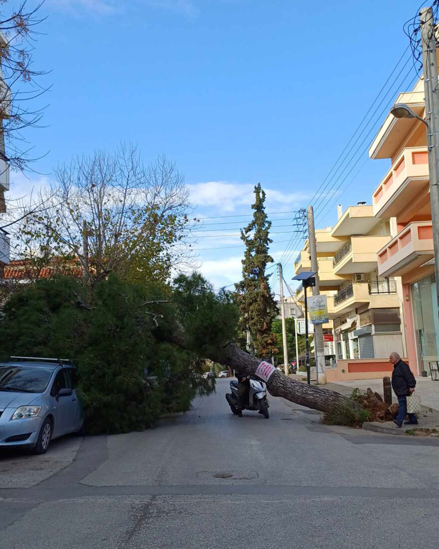 Καιρός: Άνεμοι έως και 9 μποφόρ στην Αττική, ξεριζώθηκαν δέντρα - Χιόνια στη βόρεια Ελλάδα