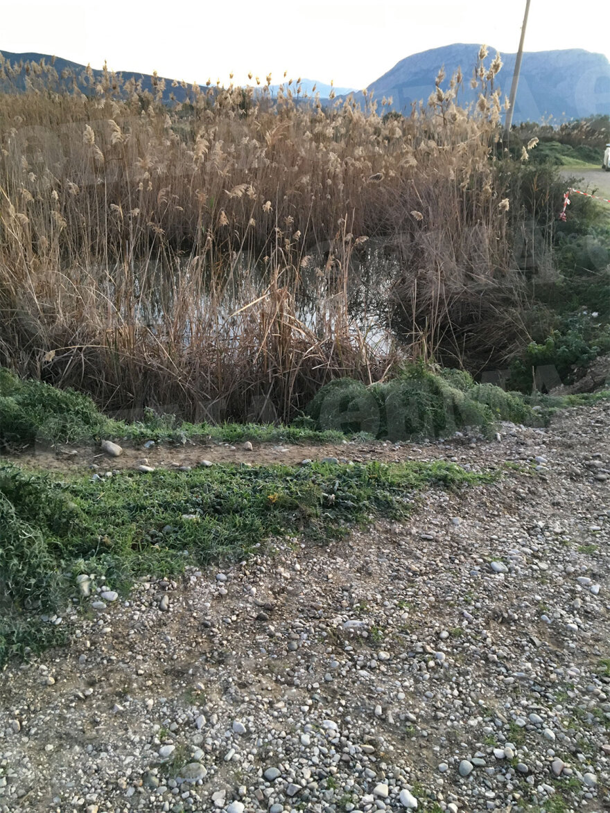 Μεσολόγγι: Οι δραματικές τελευταίες στιγμές του Μπάμπη - Τον πυροβόλησαν με φυσίγγια για αγριογούρουνο