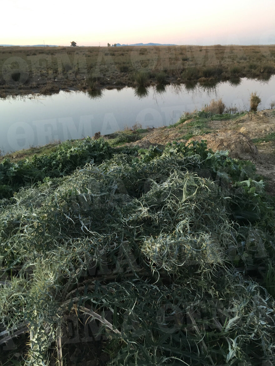 Μεσολόγγι: Οι δραματικές τελευταίες στιγμές του Μπάμπη - Τον πυροβόλησαν με φυσίγγια για αγριογούρουνο