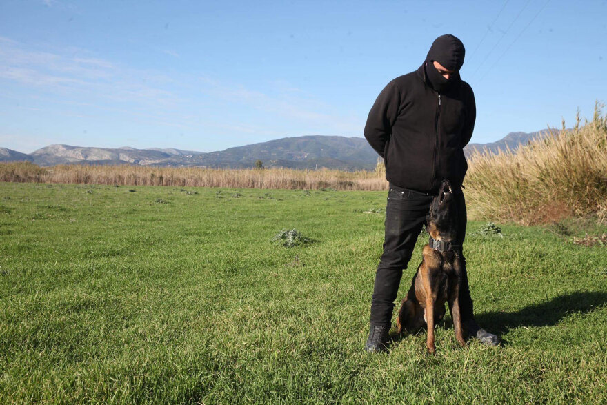 Μεσολόγγι: Το σκυλί γάβγιζε ασταμάτητα όταν βρήκε τη σορό του Μπάμπη, λέει ο εκπαιδευτής του - Δείτε βίντεο