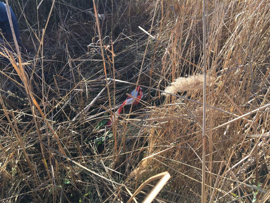 Μεσολόγγι: Αυτό είναι το σημείο που βρέθηκε η σορός του Μπάμπη - Δείτε βίντεο και φωτογραφίες