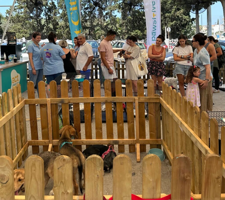 13η Ημέρα Υιοθεσίας από τα Pet city - Τοpetmou.gr αρωγός στην προσπάθεια να βρουν τα αδέσποτα ένα παντοτινό σπίτι